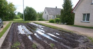 Patvinusioje dirvoje V.Šeršniova nebesitiki užsiauginti daržovių. A.Minkevičienės nuotr.