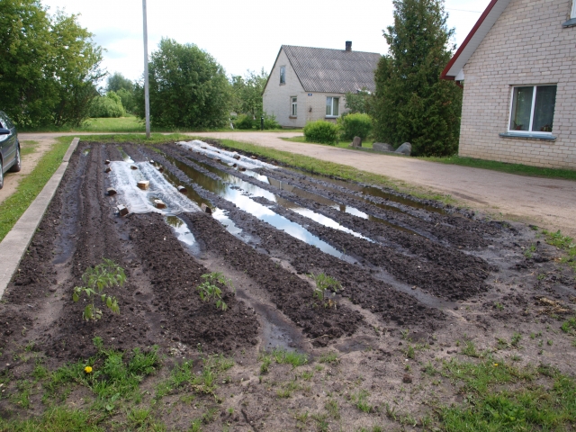 Patvinusioje dirvoje V.Šeršniova nebesitiki užsiauginti daržovių. A.Minkevičienės nuotr. Patvinusioje dirvoje V.Šeršniova nebesitiki užsiauginti daržovių. A.Minkevičienės nuotr.