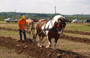 Artojų laurai iškeliavo į Dzūkiją ir Lenkiją Lenkijos artojas Bogdanas Maršalas.