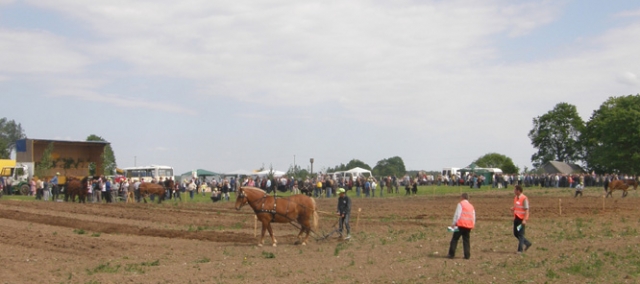 Zenono Kumpausko ūkio laukas šeštadienį šurmuliavo iki vakaro. Pasibaigus varžytuvėms Zenono Kumpausko ūkio laukas šeštadienį šurmuliavo iki vakaro. Pasibaigus varžytuvėms