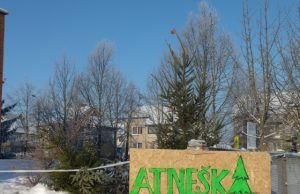 Jūsų eglutės laukia specialiai parengtos aikštelės. Ši - Senamiesčio progimnazijos teritorijoje. A.Minkevičienės nuotr.