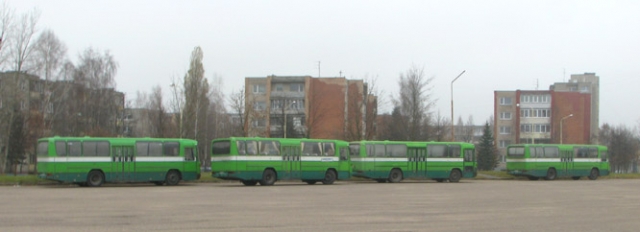 Erdvi Rokiškio autobusų stoties teritorija galėtų tapti ir mokama automobilių stovėjimo aikštele. N.Byčkovskio nuotr.