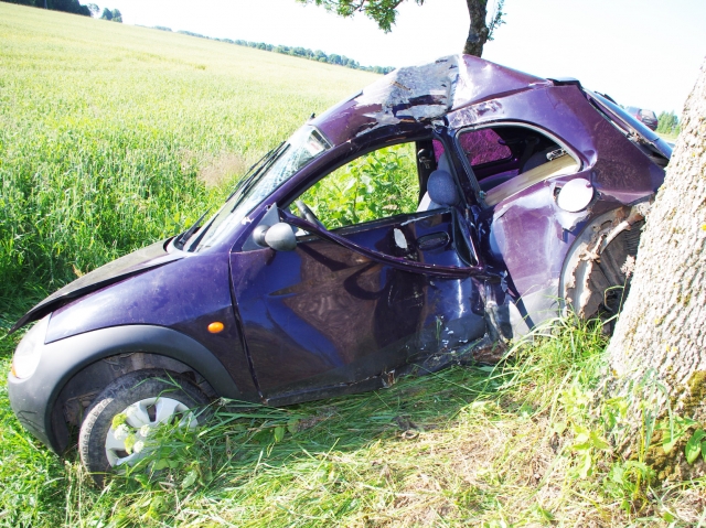 Fordui atsitrenkus į medį Fordui atsitrenkus į medį
