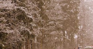 B. Kairienės nuotr.