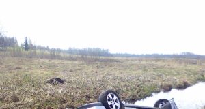 „Audi A3“ atsidūrė griovyje. R.Kilkaus nuotr.