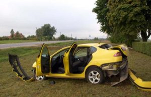 Šiuo automobiliu keliavę vyriškiai liko gyvi. D.Zibolienės nuotr.