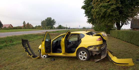 Šiuo automobiliu keliavę vyriškiai liko gyvi. D.Zibolienės nuotr.