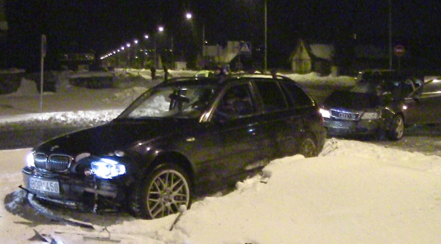 N.Byčkovskio nuotr.