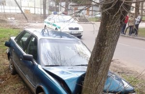 Automobilį sustoti privertė  pakelėje augęs medis. R. Kilkaus nuotr.