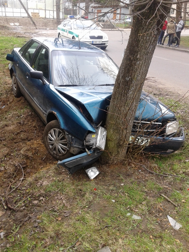 Automobilį sustoti privertė  pakelėje augęs medis. R. Kilkaus nuotr.