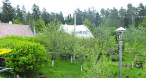 Avariją patyrę juodupėnai neabejoja: Vyžuonos kaimo koplytstulpis