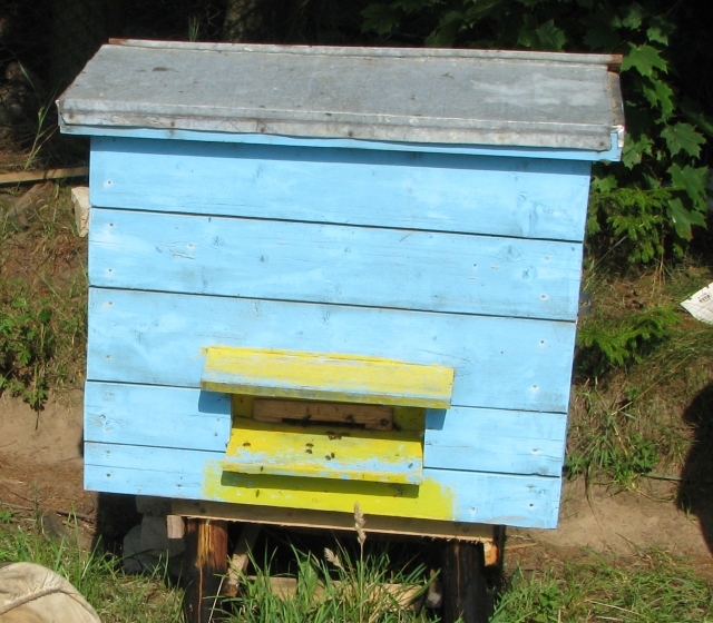 Pavogė avilius. D. Zibolienės asociatyvi nuotr.