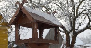 Mieste lesyklėlių – vos viena kita. Ši privataus namo kieme aptikta lesykla buvo stilingiausia. A.Minkevičienės nuotr.