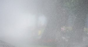 Ar lietuvis dar nori būti laisvas? L.Daujočio nuotr.