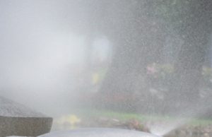 Ar lietuvis dar nori būti laisvas? L.Daujočio nuotr.