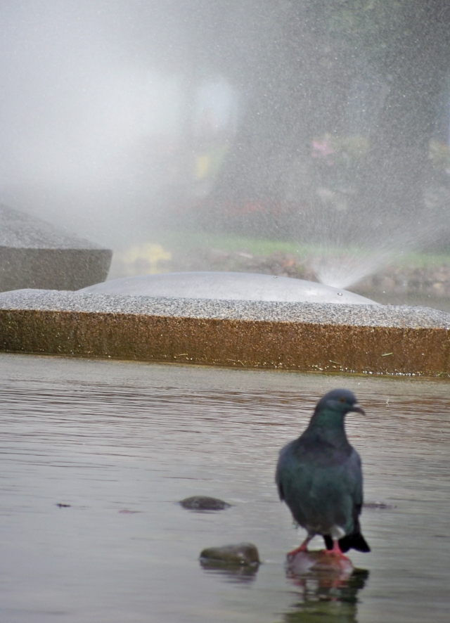 Ar lietuvis dar nori būti laisvas? L.Daujočio nuotr.