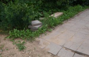 Ką išrausė – pažadėjo sutvarkyti Laisvės g. gyventojas Balys Balčiūnas mano