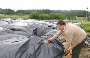 Baušiškių kaimo atviroje vietoje  maišuose sukrautus pavojingus pesticidus vakar polietilenu nuo lietaus dangstė Kamajų seniūnas Vytautas Vilys. Anot jo