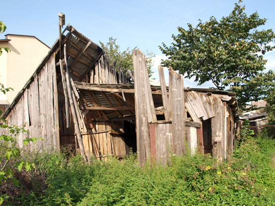Šioje lūšnoje glaudėsi benamis.