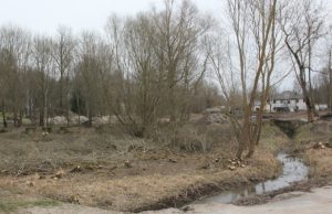 D. Zibolienės nuotr.