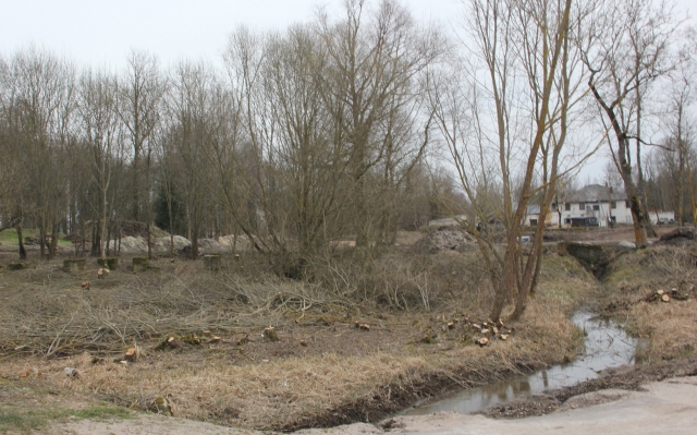 D. Zibolienės nuotr.