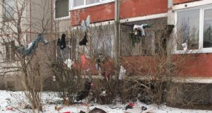 Ant medžio kabojo palaidinės