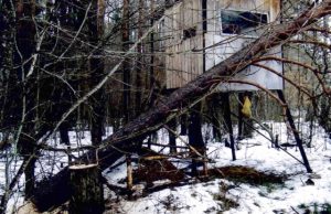 Sugadintas bokštelis. Sėlynės girininkijos archyvo nuotr.