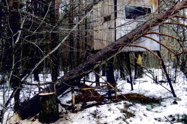 Sugadintas bokštelis. Sėlynės girininkijos archyvo nuotr.
