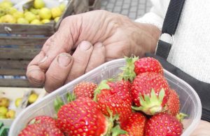 Šviežios lietuviškos braškės vakar Taikos gatvės turgelyje. A.Puteikytės nuotr.