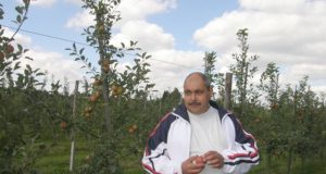 „Sodas kentėjo nuo šalčių