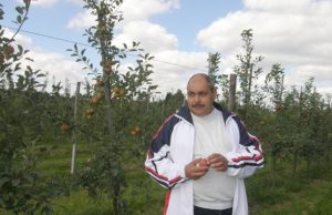 Į obuolių pintines – trečdaliu mažesnis derlius „Sodas kentėjo nuo šalčių