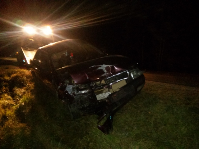 Audi nustūmė VW į griovį. M.Katinauskienės nuotr.