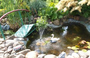 A.J. ir G. Didžgalvių sodo puošmena – dirbtinis tvenkinys. L.Dūdaitės nuotr.