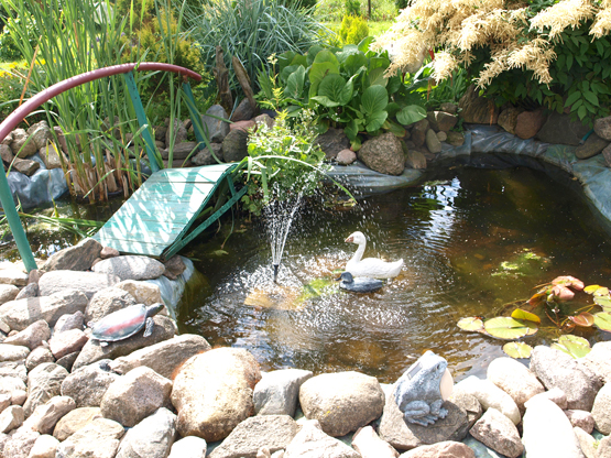 A.J. ir G. Didžgalvių sodo puošmena – dirbtinis tvenkinys. L.Dūdaitės nuotr.