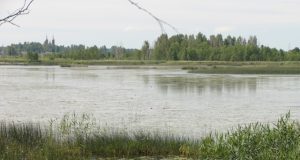 Čedaso ežeras. A. Pažūsio nuotr.