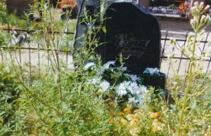 Supasi vėjas kapo žolynų viršūnėse… Žolynai ant kapo šiūruos