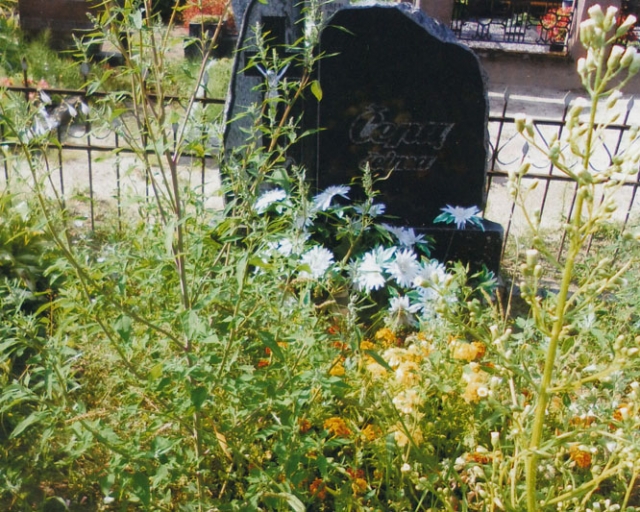 Žolynai ant kapo šiūruos Žolynai ant kapo šiūruos