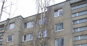 Prie Jaunystės g. 16 namo liko svyruoti beržas.