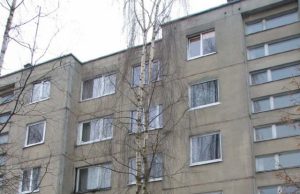 Trys liepos – kaimynų kivirčo priežastis Prie Jaunystės g. 16 namo liko svyruoti beržas.