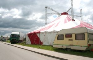 Meškučių cirko pasirodymai: ne tik džiaugsmas, bet ir rūpestis Pirmą kartą į Rokiškį atvykęs Ąžuolyno meškučių cirkas įsikūrė Vilties gatvėje. D.Zibolienės nuotr.