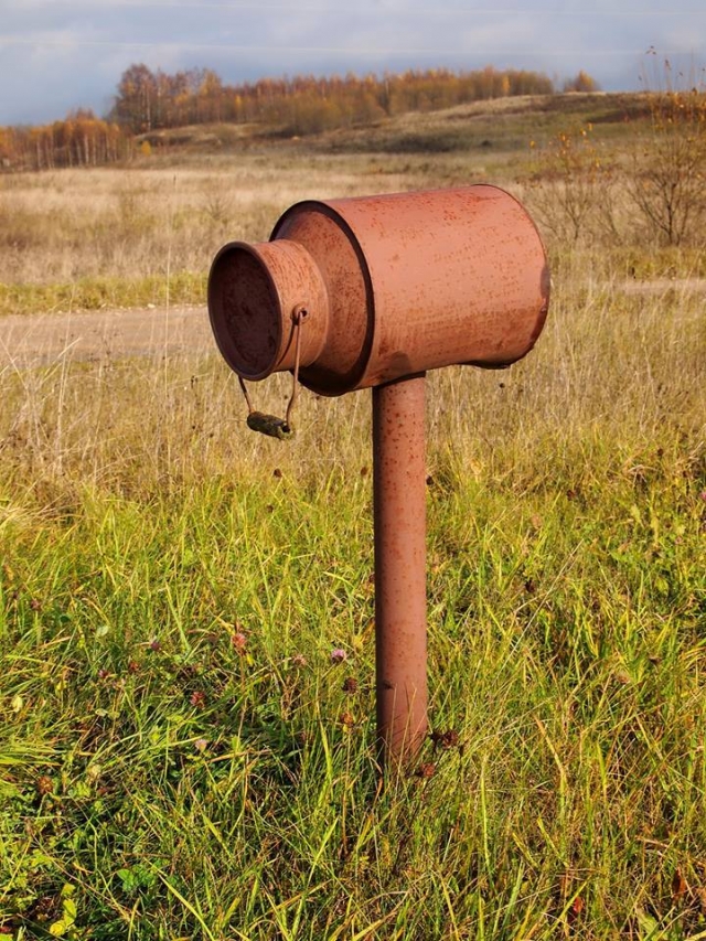 Dalios Stalauskienės nuotr.