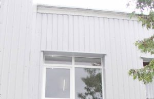 D.Zibolienės nuotr.