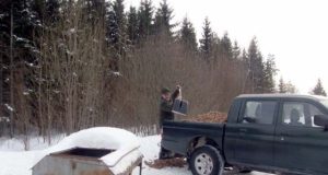 „Prie šėryklų žvėrys eina būriais