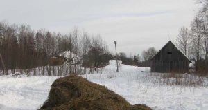 Žvėrių šėryklų vietos traukia ne tik maisto ieškančius žvėris