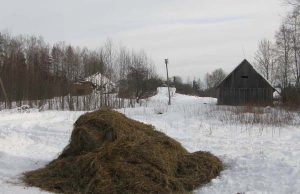 Žvėrių šėryklų vietos traukia ne tik maisto ieškančius žvėris