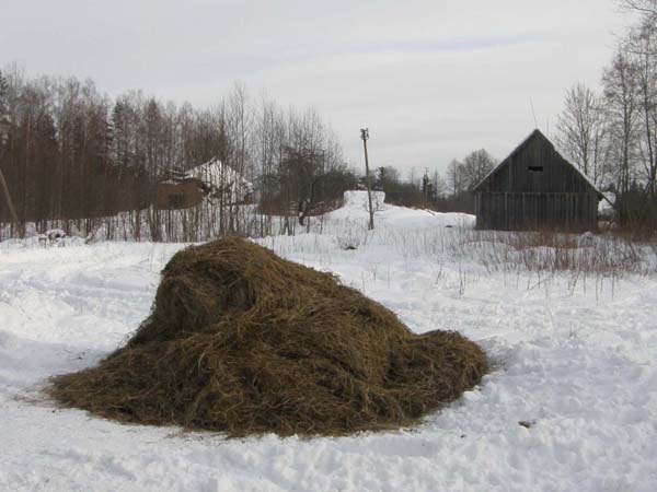 Žvėrių šėryklų vietos traukia ne tik maisto ieškančius žvėris Žvėrių šėryklų vietos traukia ne tik maisto ieškančius žvėris