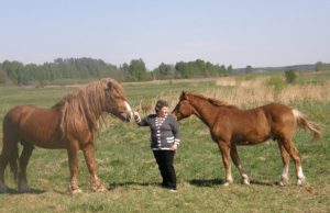 Arkliai – hobis, iš kurio nepraturtėsi V.Davolienė sakė