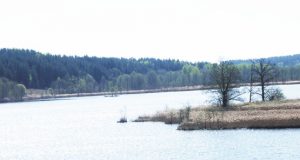 Degučių ežere - aštuonios plaukiojančios salos. D.Zibolienės nuotr.