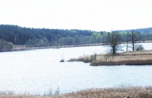 Degučių ežere - aštuonios plaukiojančios salos. D.Zibolienės nuotr.