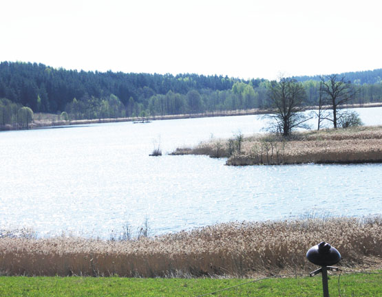 Degučių ežere - aštuonios plaukiojančios salos. D.Zibolienės nuotr.